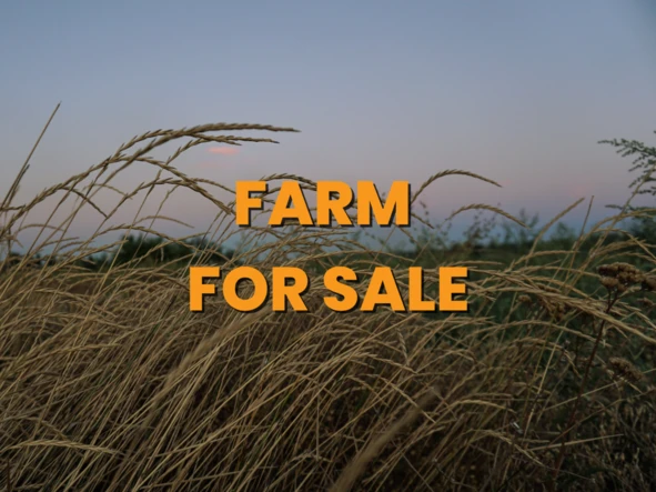 Farm & Agricultural Land