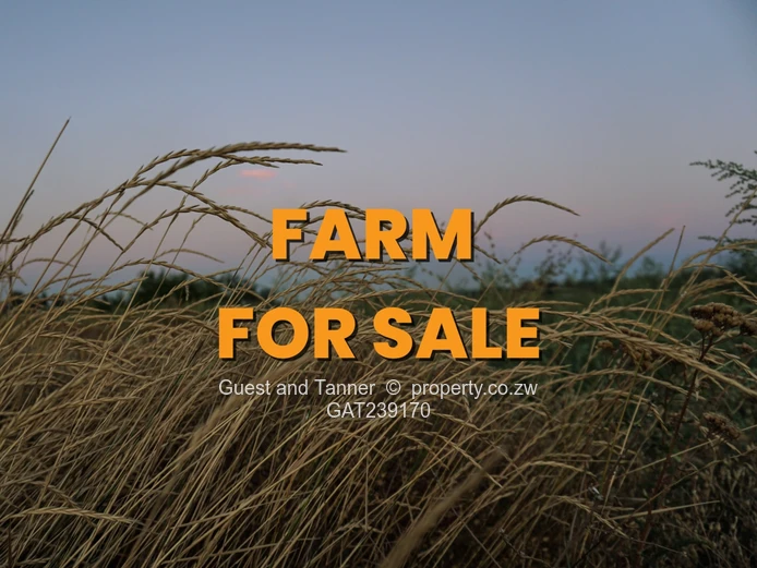 CHINTON GOLDEN GARDENS PBC - Prime 110 Ha Agro Residential Estate for Sale in Mazoe with Title Deed