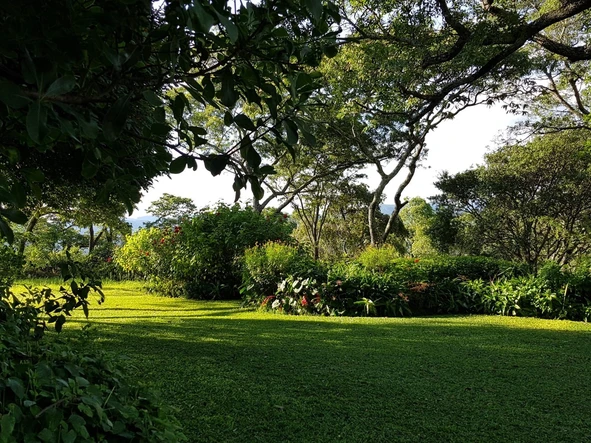 Farm & Agricultural Land