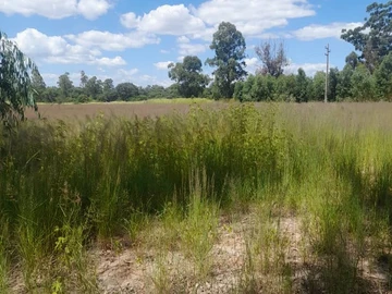 Prime 4300 m² Residential Land in Ruwa, Mashonaland East