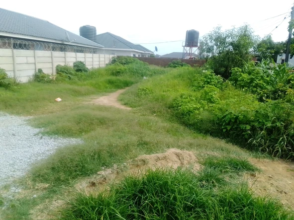 Stands & Residential Land