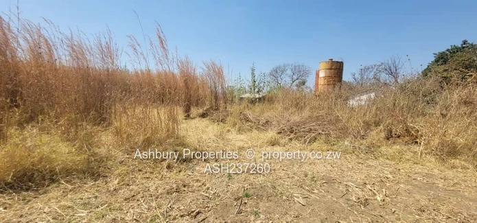 Golden Commercial Opportunity to Establish A Mall & More 