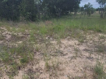 Farm & Agricultural Land