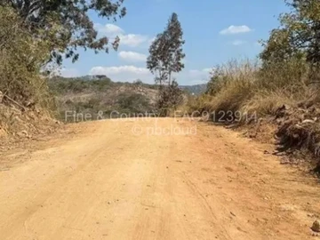 Farm & Agricultural Land