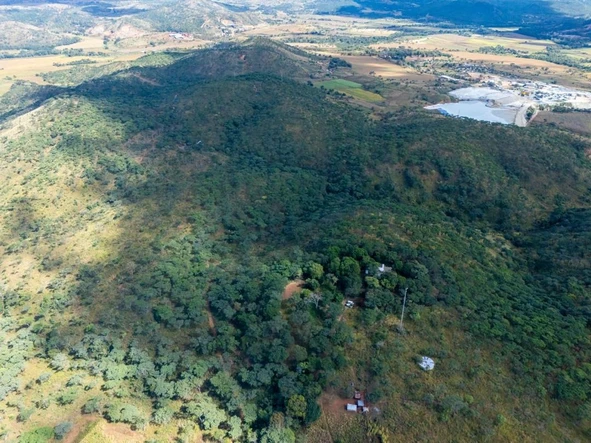 Farm & Agricultural Land