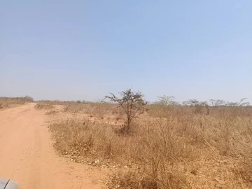 Farm & Agricultural Land