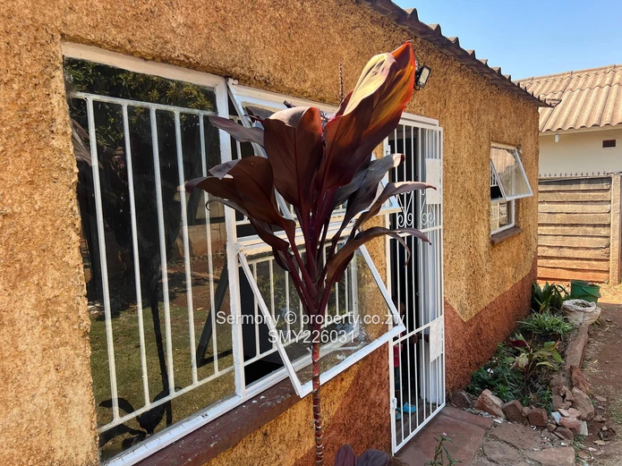 Residential house for rent