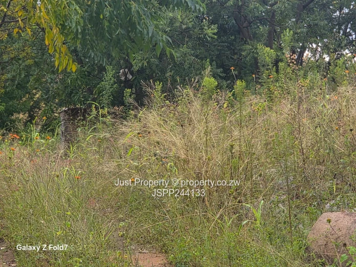 Manresa 2,169 m² Stand on Tarred Road – Sloping, Treed (Sole Mandate)