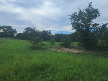 Farm & Agricultural Land