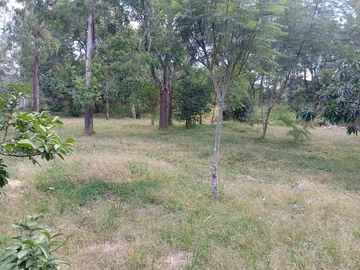 Land