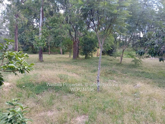 Grab this massive gem