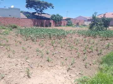 Stands & Residential Land