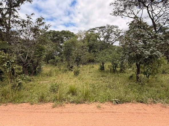 Farm & Agricultural Land