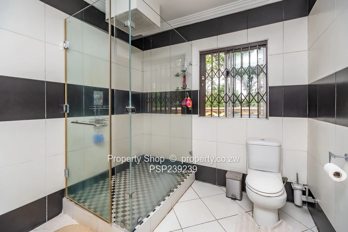 The Ultimate All-in-One Experience