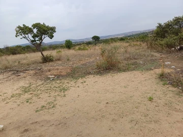 Farm & Agricultural Land