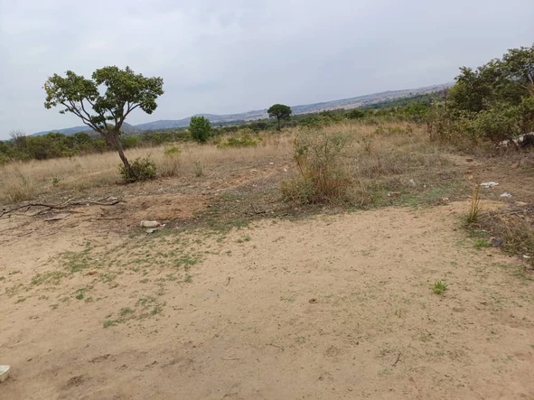 Farm & Agricultural Land