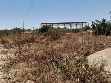 Commercial & Industrial Land