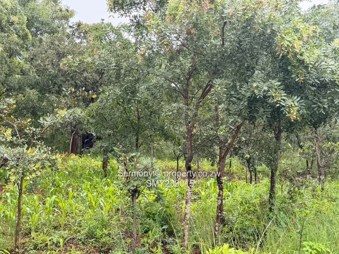 Residential stand for sale