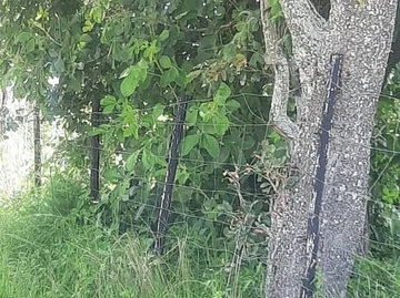 Farm & Agricultural Land