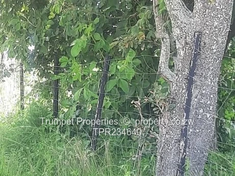 6ha Chegutu Farm — Fenced, Arable Pasture & Gravel Access (Sole Mandate)