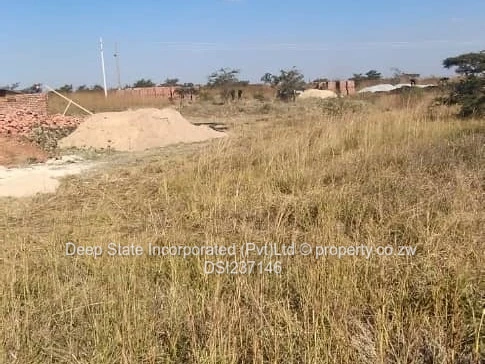 Westgate shine plus stand for sales