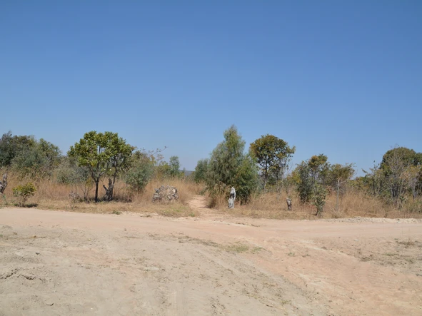 Farm & Agricultural Land