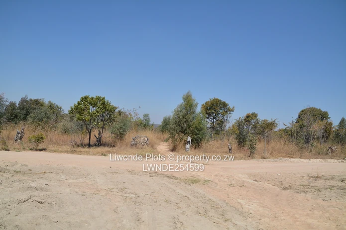 1ha Goromonzi Farm — Arable Field by Gravel Main Road