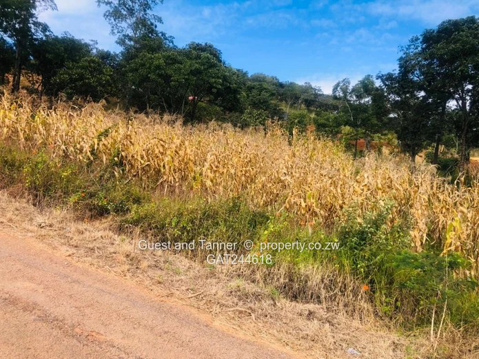 Prime Elevated Residential Stand for Sale in Carrick Creagh Estate, Harare North