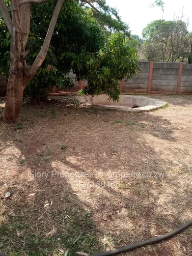 Cold Comfort Property for Rental 