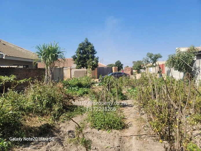 Granary Stand For Sale  (Sole Mandate)