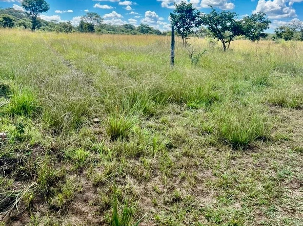 Farm & Agricultural Land