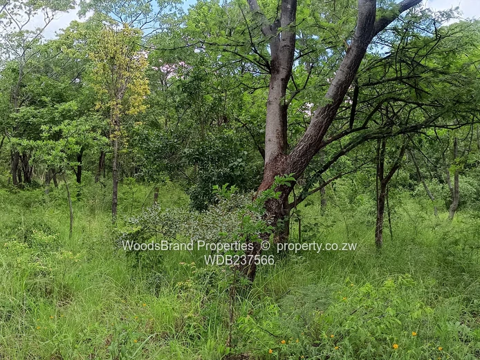 Chegutu, Dorton Plots For Sale