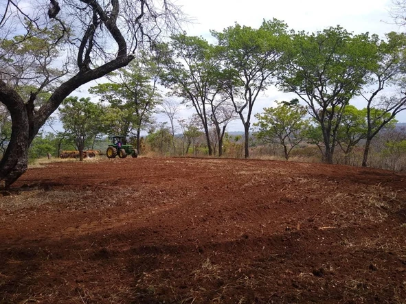 Farm & Agricultural Land