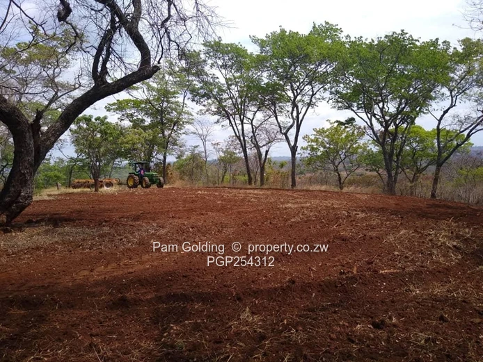 Rare 100 Acre Plot in the Path of Harare's Urban Expansion (Sole Mandate)
