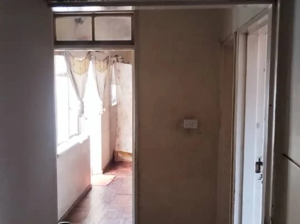 Flat & Apartment