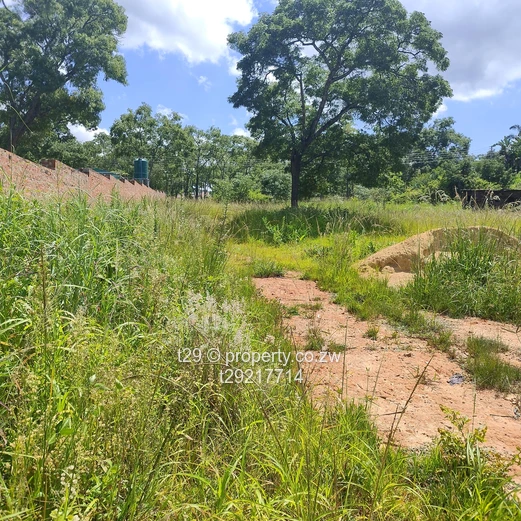 Borrowdale Carrick creagh stands for sale