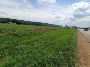 Farm & Agricultural Land
