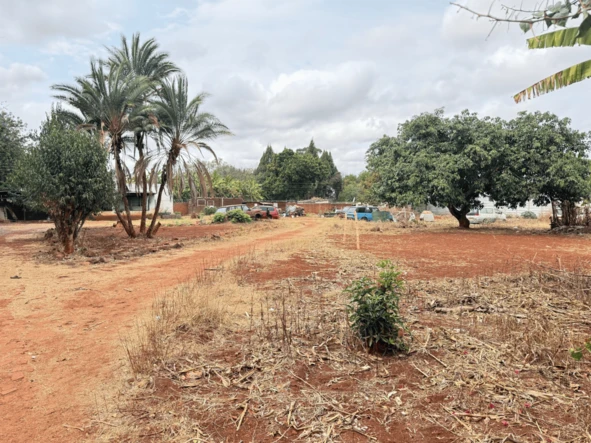 Stands & Residential Land