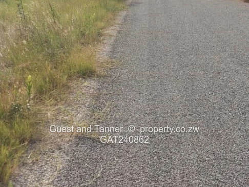 A Choice of 2 Nyabira Rosewood Stands for Sale