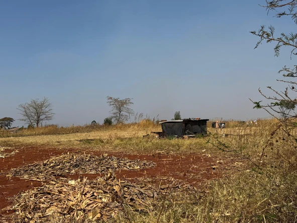 Commercial & Industrial Land