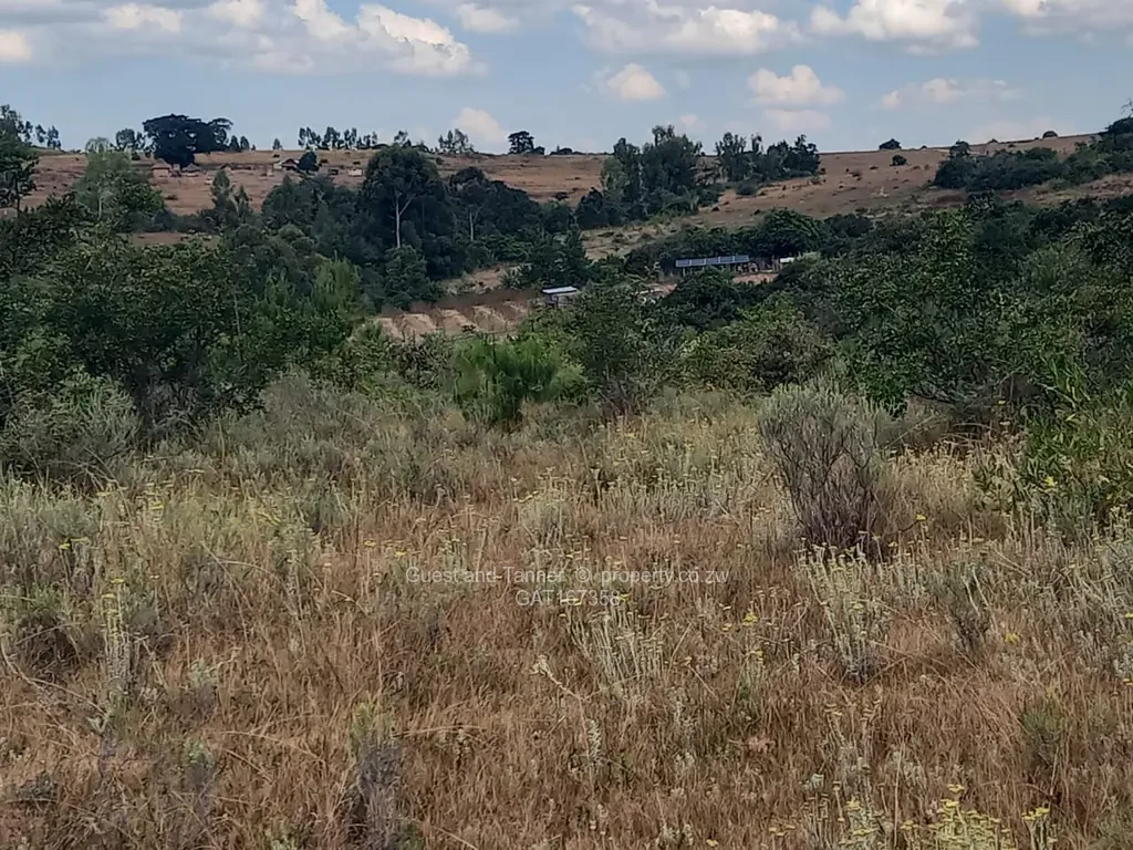 Stands & Residential Land for Sale in Nyanga GAT167358