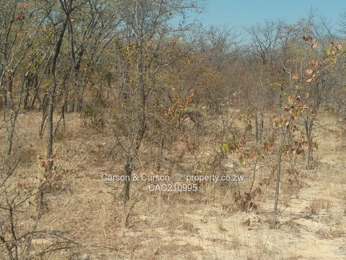 15Ha Farm & Agricultural Land in Mhondoro Ngezi with ZESA (Sole Mandate)
