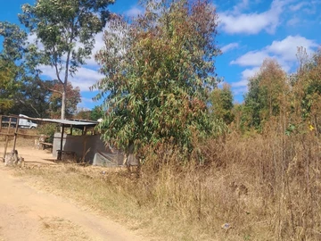 Commercial & Industrial Land
