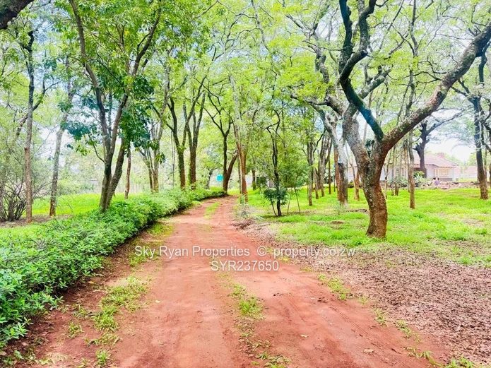 Highlands House For Sale