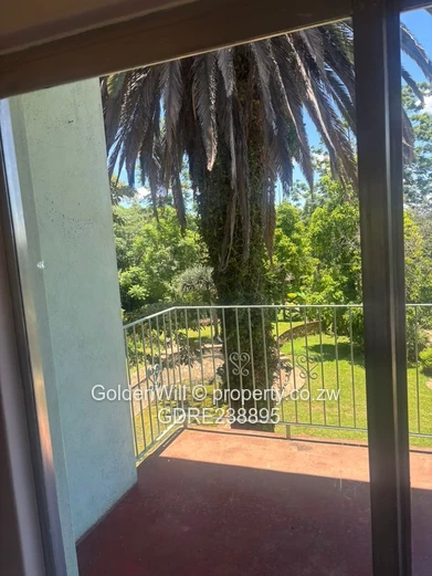 Greystone park House to rent 