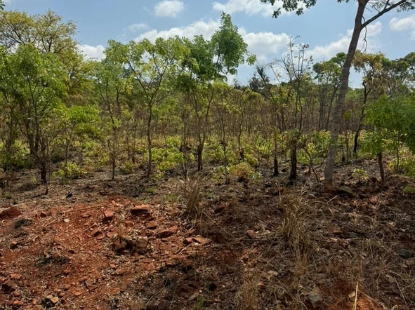 Farm & Agricultural Land