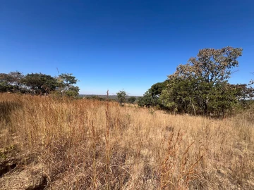 Farm & Agricultural Land