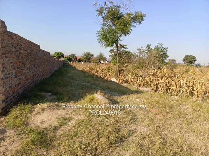 Stand for Sale – Prime Location Near Ocean Primary School