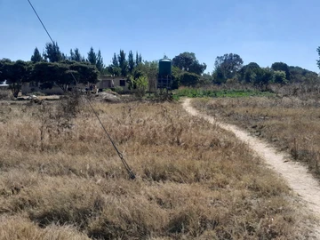 Farm & Agricultural Land