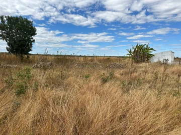 Farm & Agricultural Land